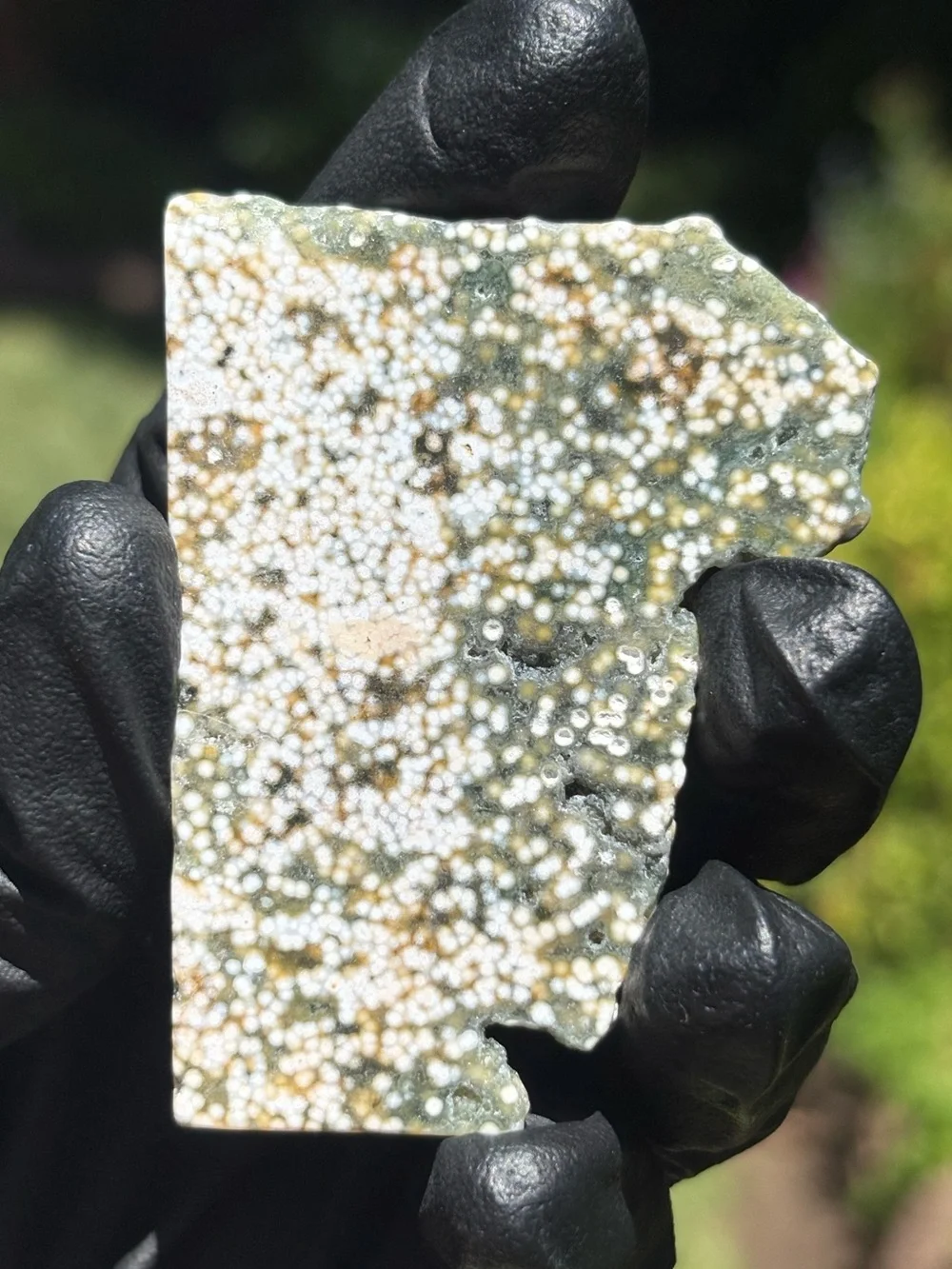 Ocean Jasper Crystal Slab - Orbicular Jasper - Polished Sea Jasper